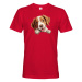 Pánské tričko Bretónsky stavač - tričko pre milovníkov psov