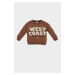 DEFACTO Baby Boy Crew Neck Printed Soft Furry Thin Sweatshirt