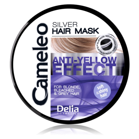 Delia Cosmetics Cameleo Silver maska na vlasy neutralizujúci žlté tóny