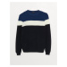 LC Waikiki Crew Neck Long Sleeve Color Block Men's Knitwear Sweater