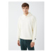 LC Waikiki Men's Long Sleeve Hoodie