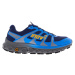 Men's Running Shoes Inov-8 Trailfly Ultra G 300 Max Bue/Grey/Nectar