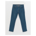 LC Waikiki Regular Fit Men's Jean Trousers