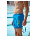 Pánske šortkové plavky Swimshort 100 krátke modré