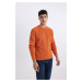 DEFACTO Standard Fit Crew Neck Sweater