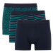 DEFACTO Regular Fit 3-Pack Boxer