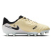 Detské kopačky Nike Jr. Tiempo Legend 10 Academy Kids FG/MG