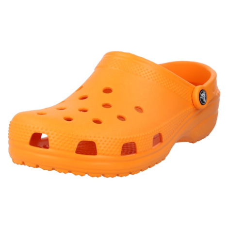 Crocs Dreváky 'Classic'  oranžová