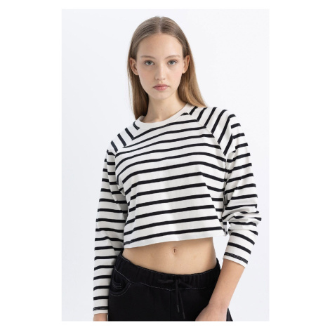 DEFACTO Cool Loose Fit Crew Neck Striped Long Sleeve T-Shirt