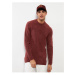 LC Waikiki Crew Neck Long Sleeve Men's Knitwear Sweater