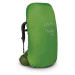 Osprey Aether 55 II garlic mustard green