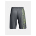 Šortky Under Armour UA Tech WM Graphic Short-GRY