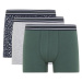 DEFACTO Regular Fit 3-Piece Boxer