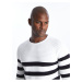 LC Waikiki Crew Neck Long Sleeve Striped Men's Knitwear Sweater