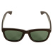 Sunglasses shine brown/green