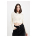 DEFACTO Women's Regular Fit Crop Crew Neck Knitted Hole Knitwear Sweater