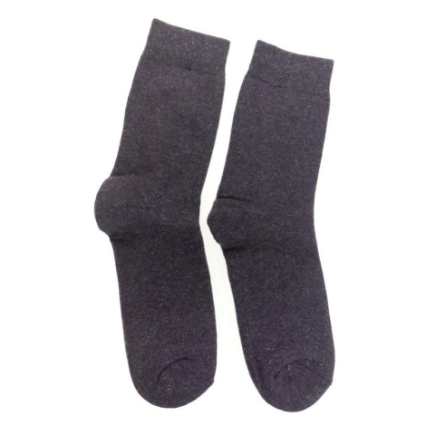 Fialové ponožky REISY