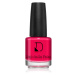 Diego dalla Palma Nail Polish dlhotrvajúci lak na nechty odtieň 224 Red Passion