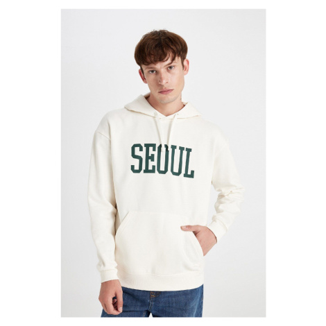 DEFACTO Boxy Fit Hooded Pocket Printed Sweatshirt