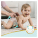 PAMPERS Premium Care Nohavičky plienkové veľ. 3 (6-11 kg)