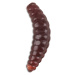 Saenger iron trout gumové nástrahy bee maggots 2,5 cm-farba br