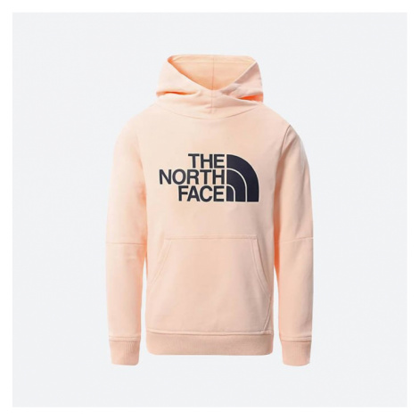 The North Face Girl’s Drew Peak P/O Hoodie 2.0 NF0A558TWC6