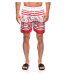 Edoti Men's swimming shorts