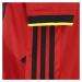 ADIDAS PERFORMANCE Funkčné tričko 'EM 2020'  červená / čierna