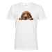 Pánské tričko Bloodhound - tričko pre milovníkov psov