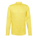Polo Ralph Lauren Košeľa  svetlomodrá / citrónová žltá