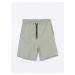 LC Waikiki Standard Fit Men's Shorts