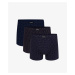 Men's boxers ATLANTIC 3Pack - multicolor