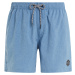 Men's beach shorts Protest DAVEY