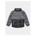 Quiksilver Vatovaná bunda Wolfs EQBJK03277 Sivá Regular Fit