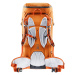 Deuter Freescape Pre 38+ SL shale - tin