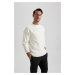 DEFACTO Relax Fit Crew Neck Basic Plain Knitwear Sweater