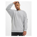 Crewneck Joe Grey