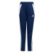 Nohavice adidas Tiro 24 Training Jr IS1007