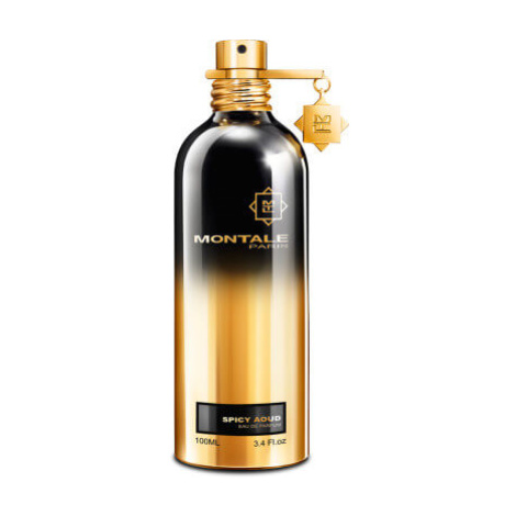 Montale Spicy Aoud - EDP 100 ml