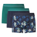 LIVERGY® Pánske boxerky, 3 kusy (navy modrá/zelená/modrá)