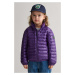 BUNDA GANT SHINY LIGHT PADDED DOWN JACKET PANSY PURPLE