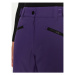 Colourwear Lyžiarske nohavice Cork Pant 7010322 Fialová Regular Fit