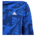 Mikina adidas Essentials Allover Print HD Jr IS2555