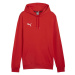 Puma Team Goal Casuals Hoody M 658618 01