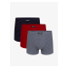 Boxer shorts Atlantic 3MH-025/11/12 A'3 S-2XL navy blue-red-gray 033