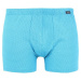 Andrie men's boxers turquoise