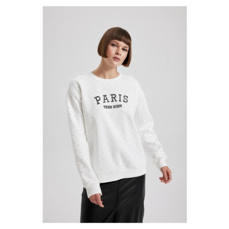 DEFACTO Regular Fit Crew Neck Thick Sweatshirt