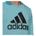 Adidas Essentials Big Logo mikina M H12163 muži