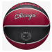 Wilson NBA Team City Edition