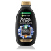 Šampón pre mastné korienky a suché dĺžky Garnier Therapy Botanic Magnetic Charcoal - 250 ml + da